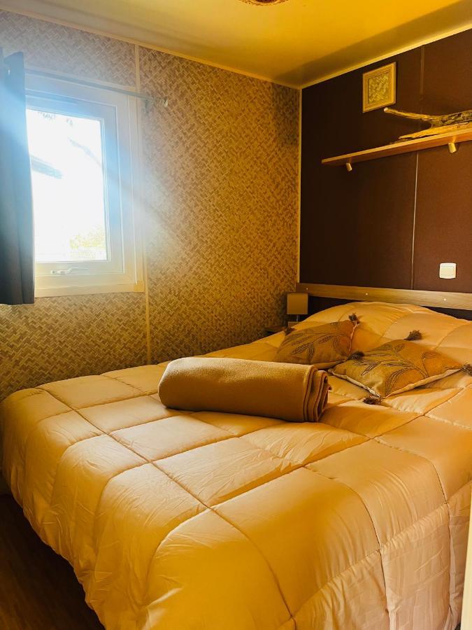 Mobil-Home Cosy Clim&Tv-3 Chambres ヴィック・ラ・ガルディオル エクステリア 写真